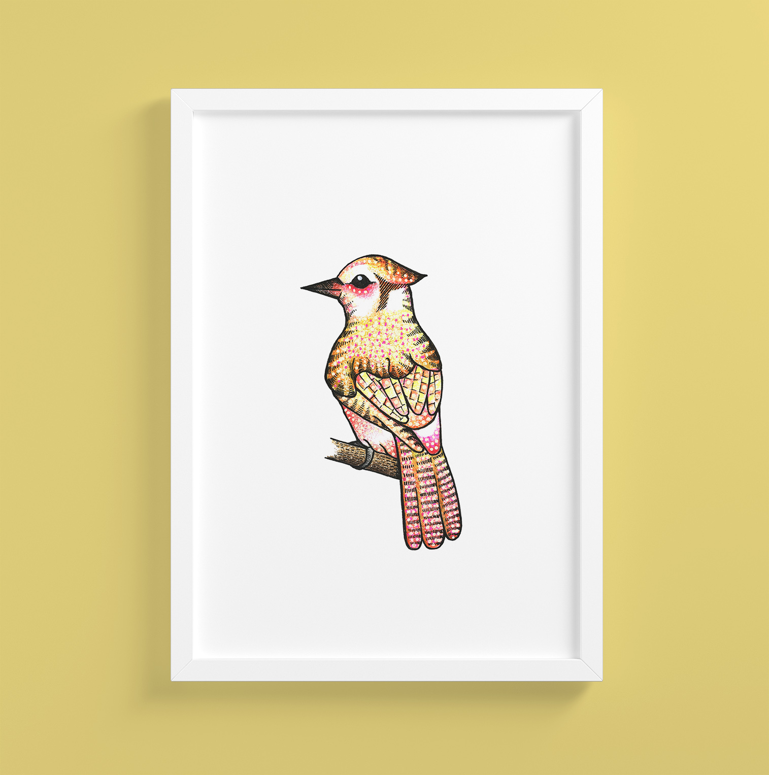 ColorBirds