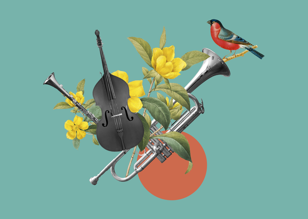 Galeria Web Concertas3