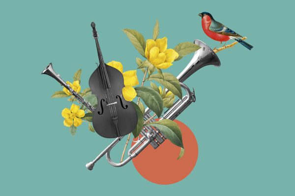 Galeria Web Concertas3